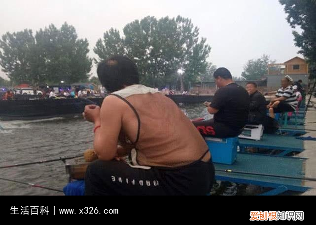 黑坑回锅鱼是什么意思 黑坑回鱼怎么钓