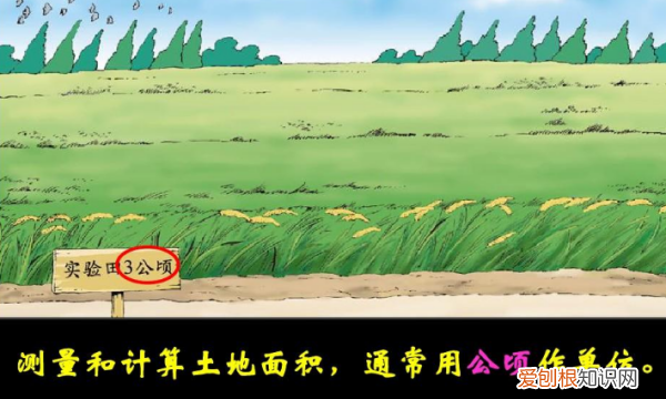 公顷用字母表示怎么写，公顷用字母怎么写,怎么读