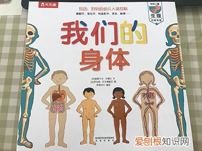 中国人难以启齿的性教育,对孩子究竟有多重要?,对于孩子的性教育的普及