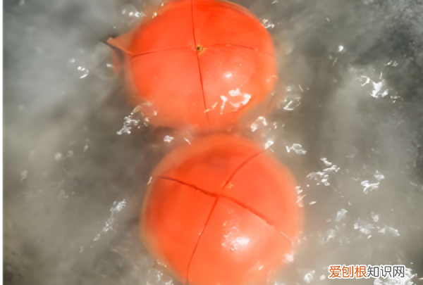 番茄巴沙鱼片的做法，巴沙鱼片怎么做好吃又简单