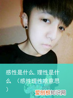 感性理性啥意思 感性是什么,理性是什么