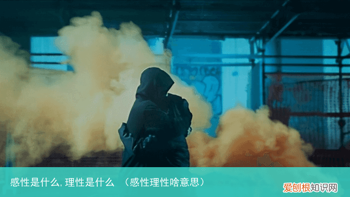 感性理性啥意思 感性是什么,理性是什么