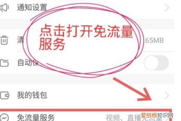快手免流怎么设置,快手极速版怎么赚钱