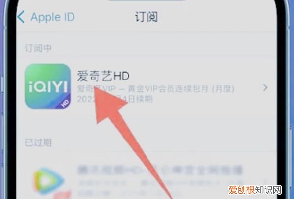 爱奇艺怎样关闭会员自动续费,爱奇艺会员自动续费怎么关闭