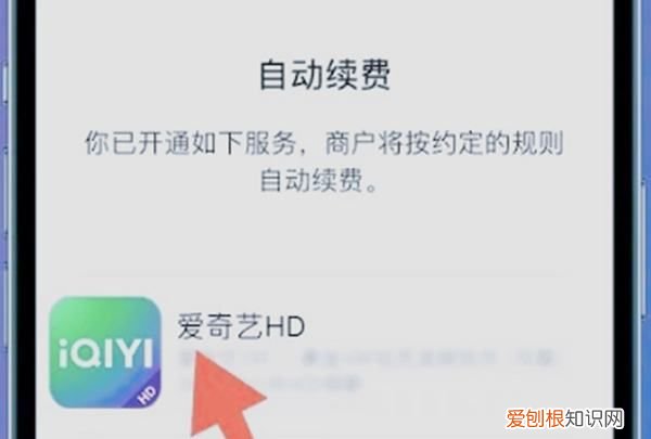 爱奇艺怎样关闭会员自动续费,爱奇艺会员自动续费怎么关闭