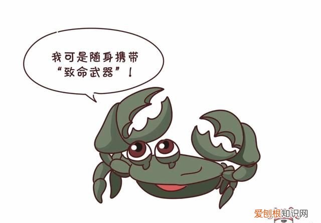 蟹黄蟹膏要怎么吃才更有营养呢,蟹黄蟹膏是螃蟹的什么做的