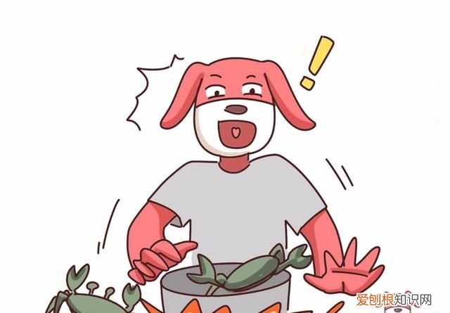 蟹黄蟹膏要怎么吃才更有营养呢,蟹黄蟹膏是螃蟹的什么做的