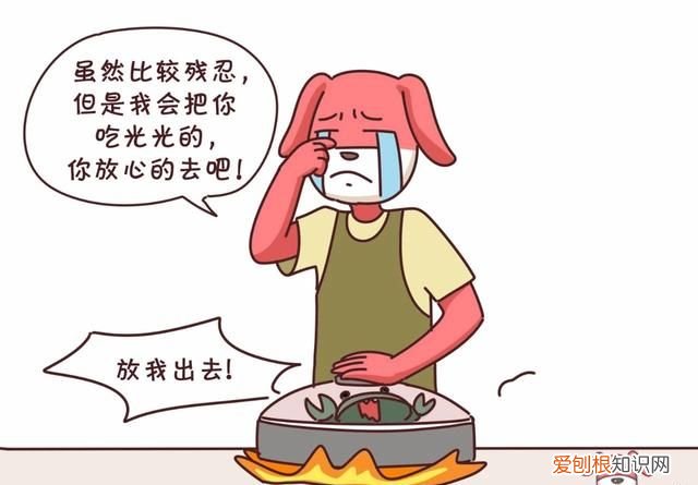 蟹黄蟹膏要怎么吃才更有营养呢,蟹黄蟹膏是螃蟹的什么做的