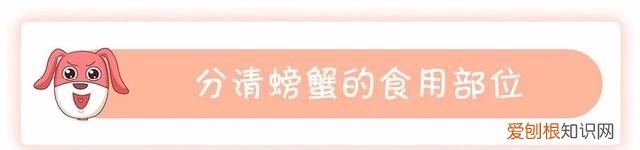 蟹黄蟹膏要怎么吃才更有营养呢,蟹黄蟹膏是螃蟹的什么做的