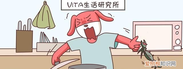 蟹黄蟹膏要怎么吃才更有营养呢,蟹黄蟹膏是螃蟹的什么做的