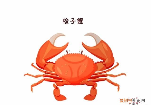 蟹黄蟹膏要怎么吃才更有营养呢,蟹黄蟹膏是螃蟹的什么做的