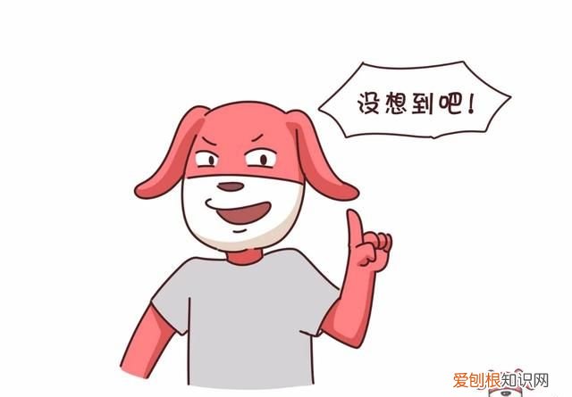 蟹黄蟹膏要怎么吃才更有营养呢,蟹黄蟹膏是螃蟹的什么做的
