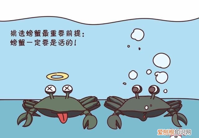 蟹黄蟹膏要怎么吃才更有营养呢,蟹黄蟹膏是螃蟹的什么做的