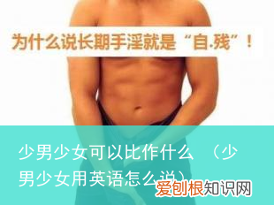 少男少女用英语怎么说 少男少女可以比作什么