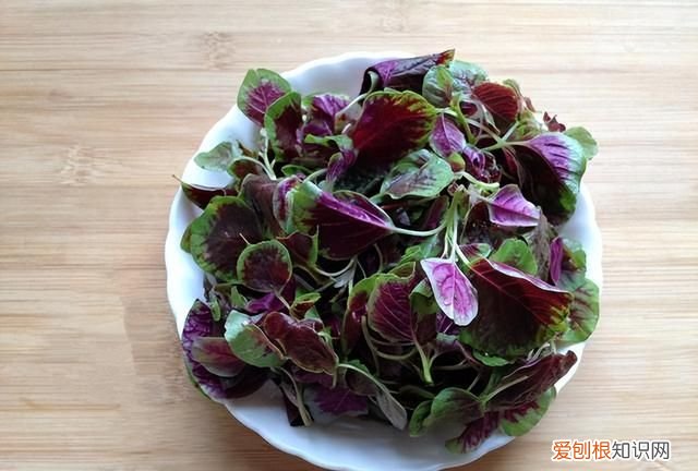 天然叶酸前10名食物排行榜 天然叶酸的食物前十名