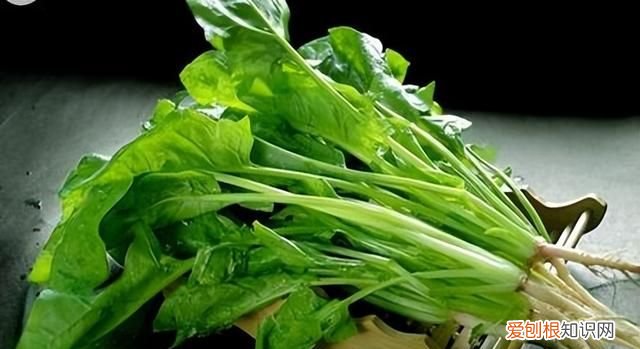 天然叶酸前10名食物排行榜 天然叶酸的食物前十名