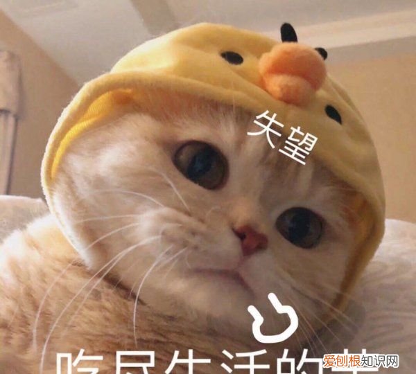 淘米水可以天天洗脸，淘米水可以洗脸吗?有什么好处?