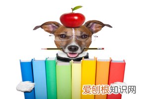 中秋节的风俗有哪些 ，中秋节的风俗有哪些变化