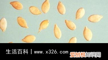 藤黄果怎么吃效果最好 藤黄果图片价格