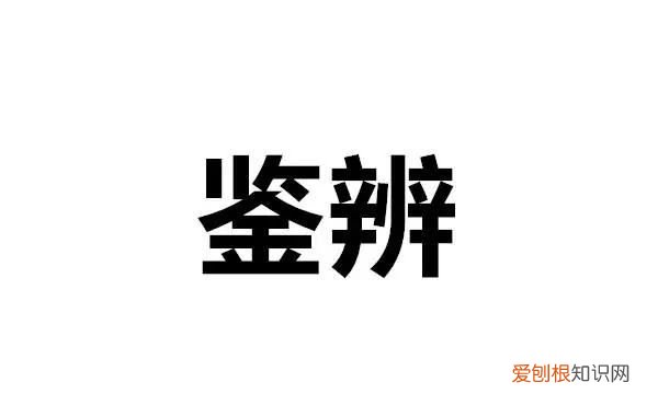 辩和辨的区别，辩辫辨瓣怎么区分组词