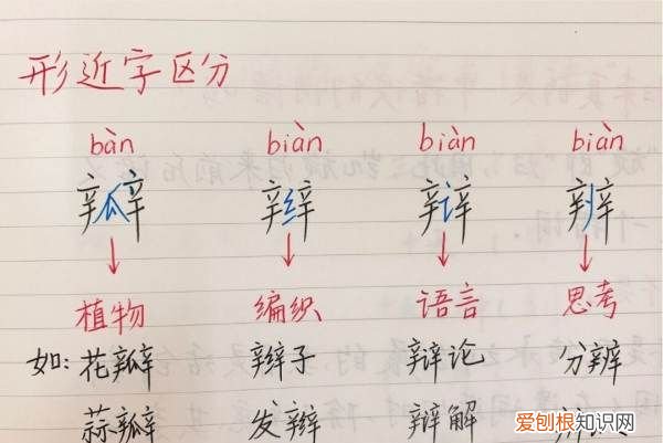 辩和辨的区别,辩辫辨瓣怎么区分组词
