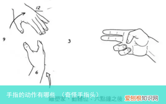 奇怪手指头 手指的动作有哪些