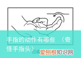 奇怪手指头 手指的动作有哪些