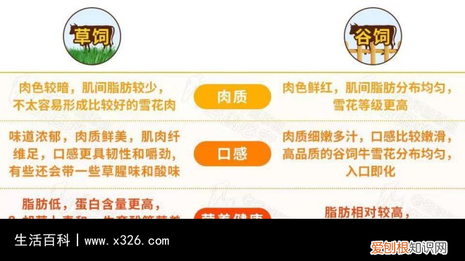 牡蛎牛肉怎么做 牛牡蛎肉图片大全
