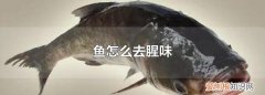 做鱼怎么样去腥味，鱼如何去腥味 来学习一下吧