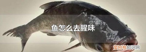 做鱼怎么样去腥味，鱼如何去腥味 来学习一下吧