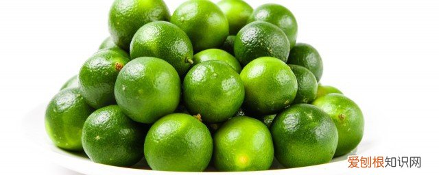 羊肉和桔子能一起吃吗宝宝 羊肉和桔子能一起吃吗