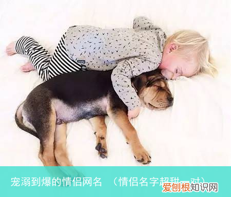 情侣名字超甜一对 宠溺到爆的情侣网名