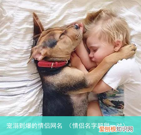 情侣名字超甜一对 宠溺到爆的情侣网名