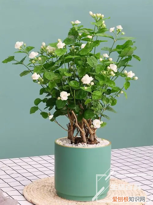 秋天为什么会落叶作文 秋天为什么会落叶看图写话