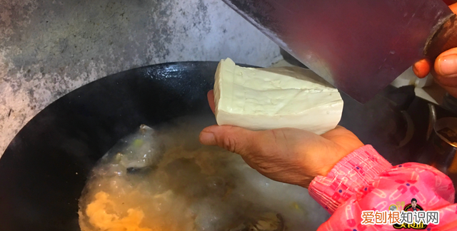 鱼头豆腐汤正宗做法小孩爱吃,鱼头豆腐汤怎么做小孩喜欢喝