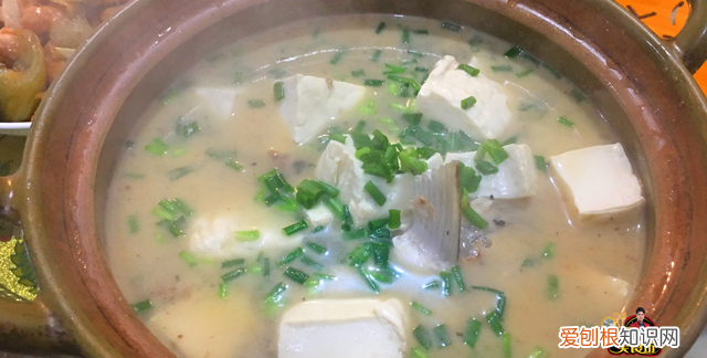 鱼头豆腐汤正宗做法小孩爱吃,鱼头豆腐汤怎么做小孩喜欢喝