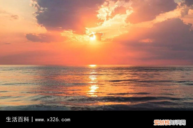 才女李清照的故事简介 才女李清照的故事读书心得