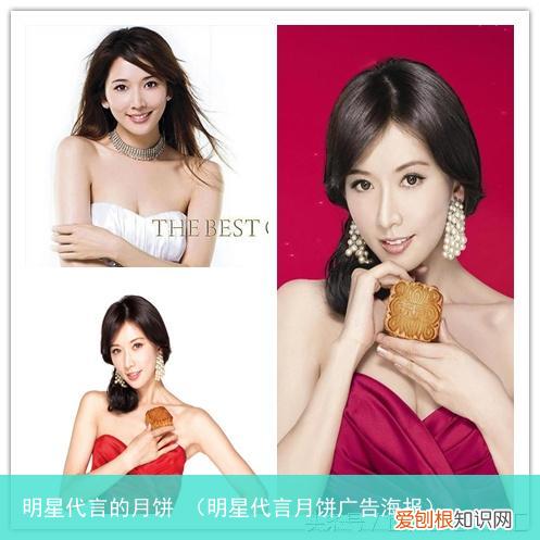 明星代言月饼广告海报 明星代言的月饼
