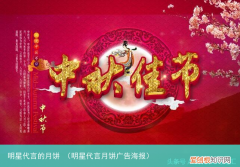 明星代言月饼广告海报 明星代言的月饼