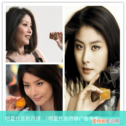 明星代言月饼广告海报 明星代言的月饼