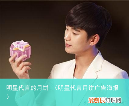明星代言月饼广告海报 明星代言的月饼