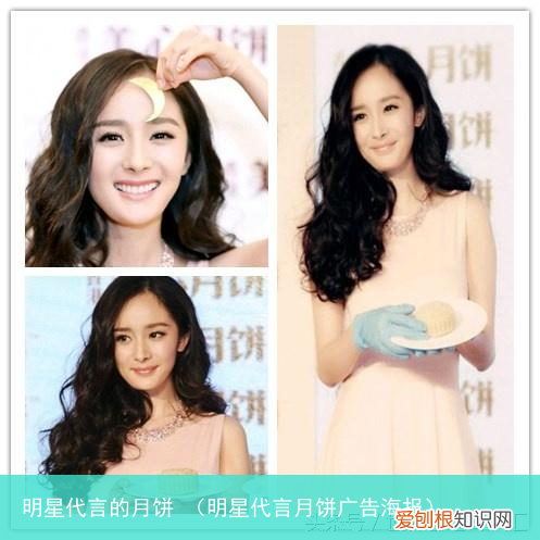 明星代言月饼广告海报 明星代言的月饼