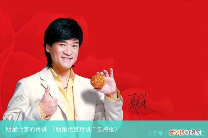 明星代言月饼广告海报 明星代言的月饼