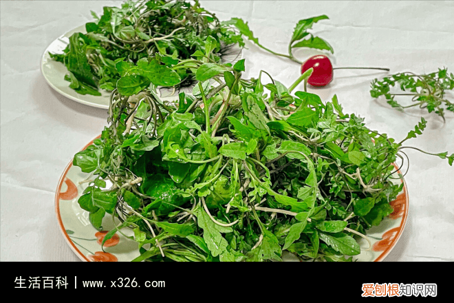 农历三月三是什么节日有什么风俗 农历三月三什么节日?