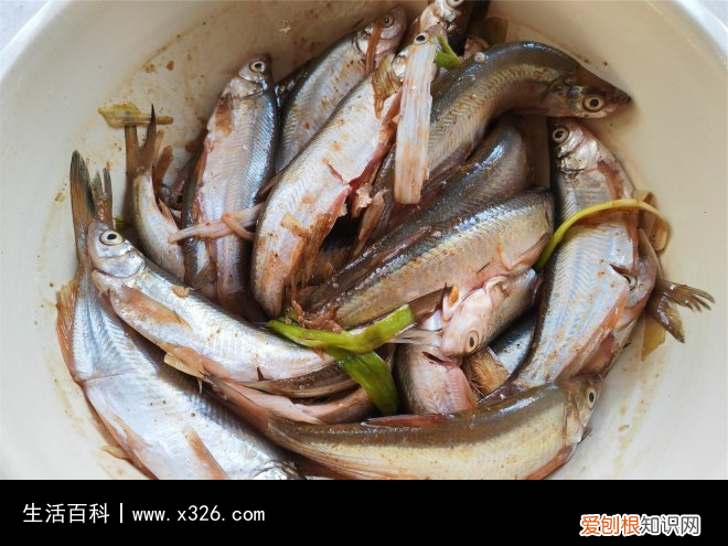 炸鱼怎么做酥脆好吃怎么炸不粘锅 炸鱼怎么做的好吃又脆又香呢