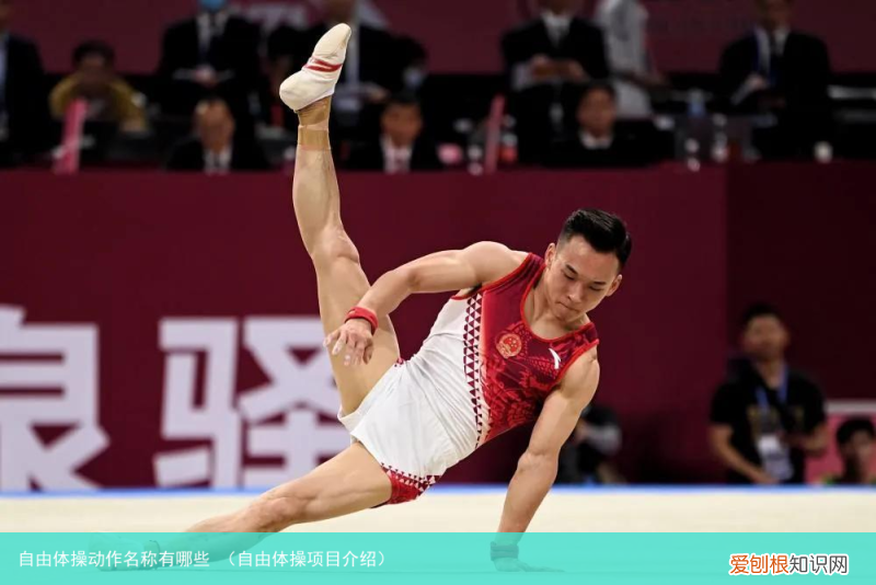自由体操项目介绍 自由体操动作名称有哪些