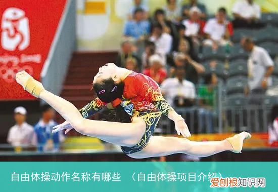 自由体操项目介绍 自由体操动作名称有哪些