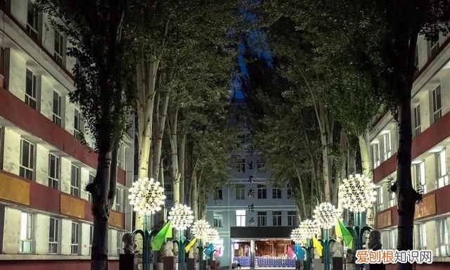 海南哪所中学获得北大优质生源