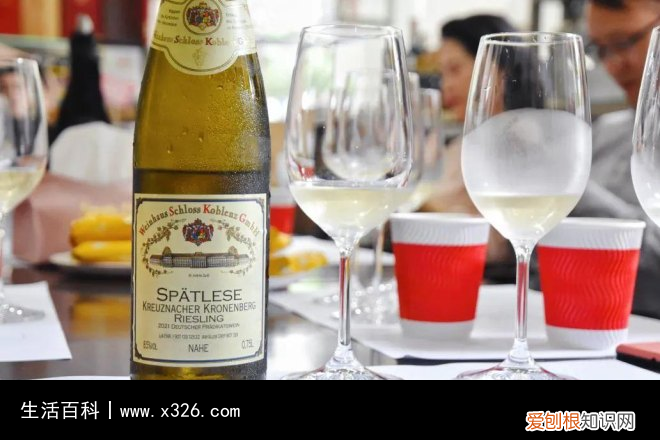 sgn中文是什么意思 sgn是什么的缩写