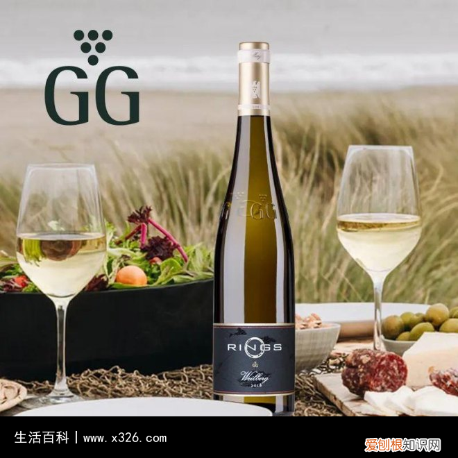 sgn中文是什么意思 sgn是什么的缩写